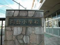 f:id:doctor-teacher:20170709160450j:plain f:id:doctor-teacher:20170709160450j:plain