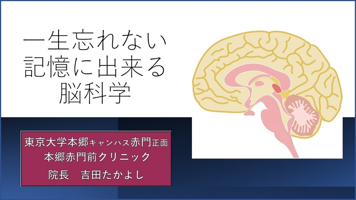 忘れない記憶に変換できる脳科学の勉強法！