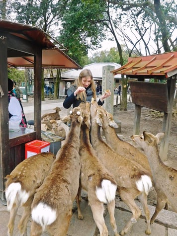 f:id:doctorair:20180111161833j:plain