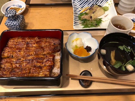 f:id:doctorlogical:20190720162015j:image