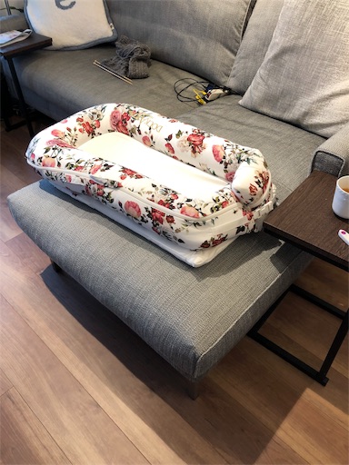 f:id:doctorlogical:20190826172145j:image
