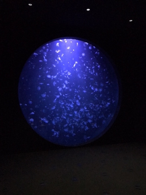 f:id:doctorman:20180415144255j:plain