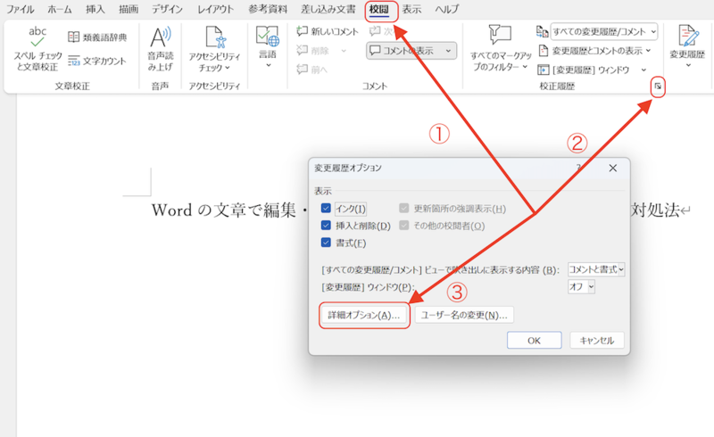 校閲タブ_変更履歴オプション_詳細オプション