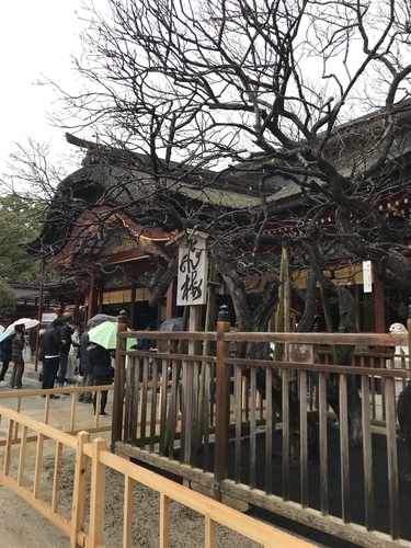 f:id:dodewata:20181228102009j:plain f:id:dodewata:20181228102009j:plain