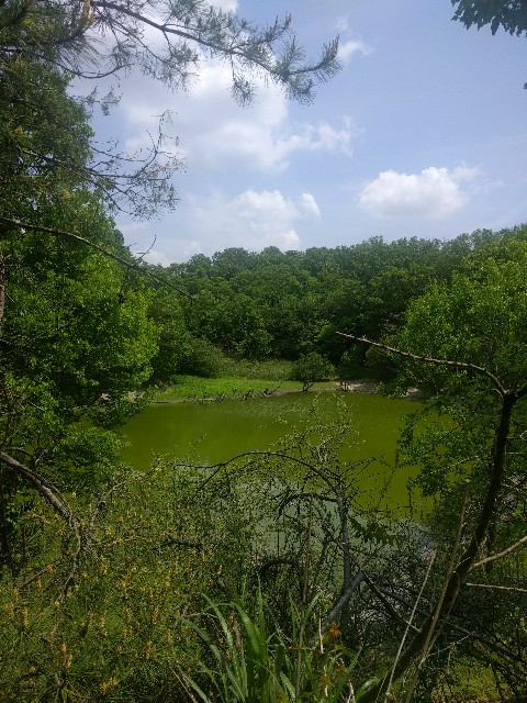 f:id:doeryaa:20190506134120j:image f:id:doeryaa:20190506134120j:image