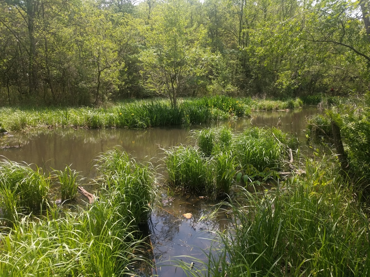 f:id:doeryaa:20190506215003j:plain f:id:doeryaa:20190506215003j:plain
