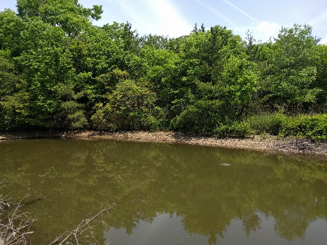 f:id:doeryaa:20190508071407j:image f:id:doeryaa:20190508071407j:image