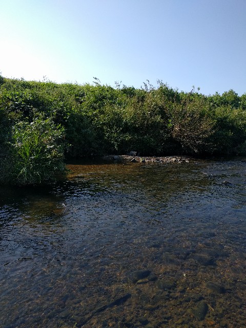 f:id:doeryaa:20191006202624j:image f:id:doeryaa:20191006202624j:image
