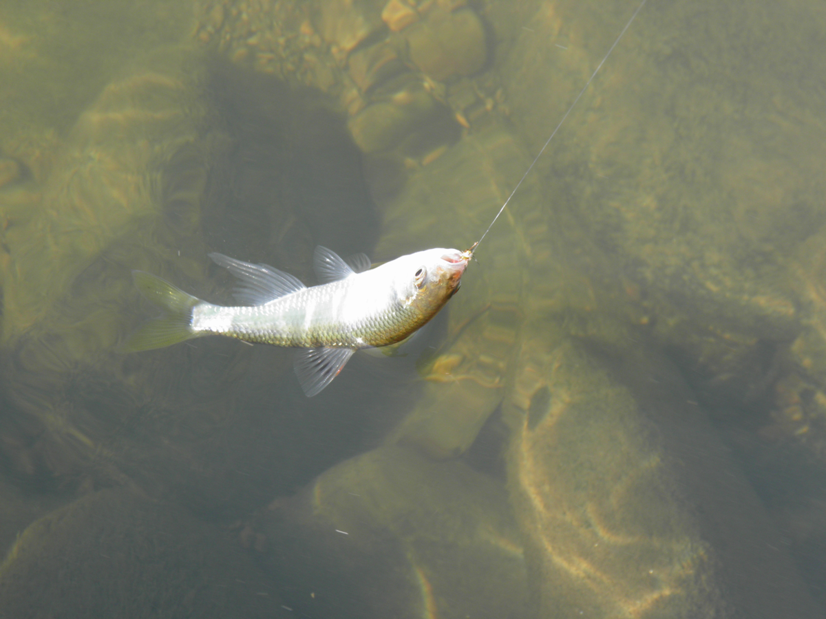 f:id:doeryaa:20201026114218p:plain f:id:doeryaa:20201026114218p:plain