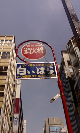 f:id:dog-planet:20090501092034j:image f:id:dog-planet:20090501092034j:image