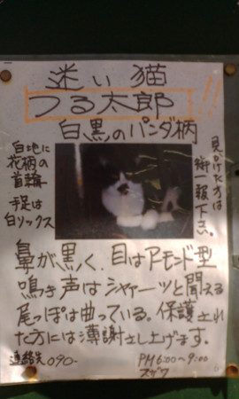 f:id:dog-planet:20090502083255j:image f:id:dog-planet:20090502083255j:image