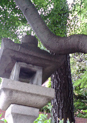 f:id:dog-planet:20090517154703j:image f:id:dog-planet:20090517154703j:image