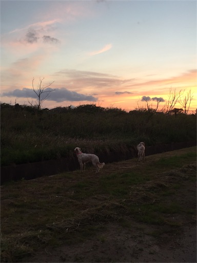 f:id:dog99line:20170515074028j:image f:id:dog99line:20170515074028j:image