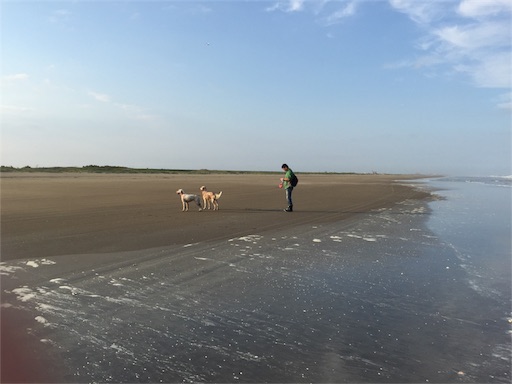 f:id:dog99line:20170518193528j:image f:id:dog99line:20170518193528j:image