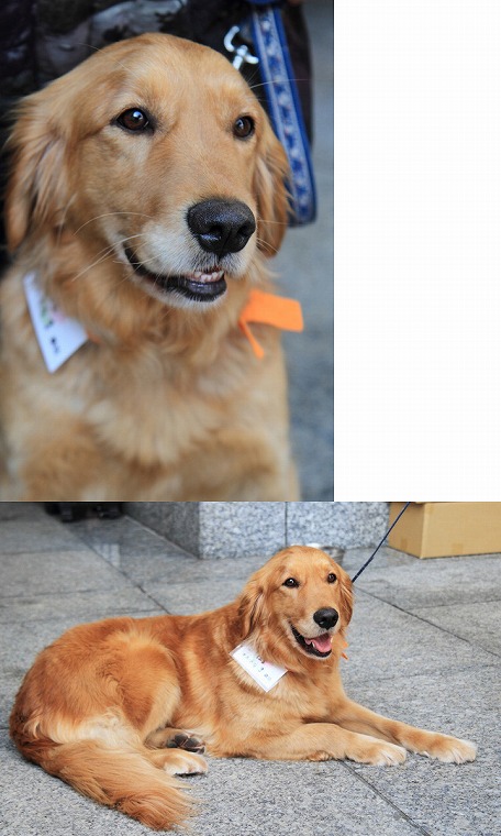 20120815164432