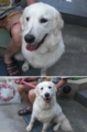 20120815164437