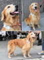 20120816144435