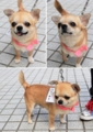 20120816144440