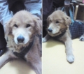 20120816160450