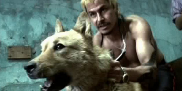 f:id:dogbarking:20210422052206j:plain