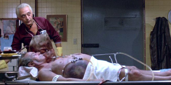 f:id:dogbarking:20210908050629j:plain