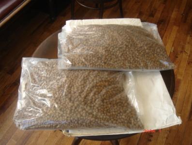 f:id:dogbsk:20170927202259j:plain f:id:dogbsk:20170927202259j:plain