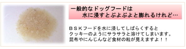 f:id:dogbsk:20171216150218j:plain