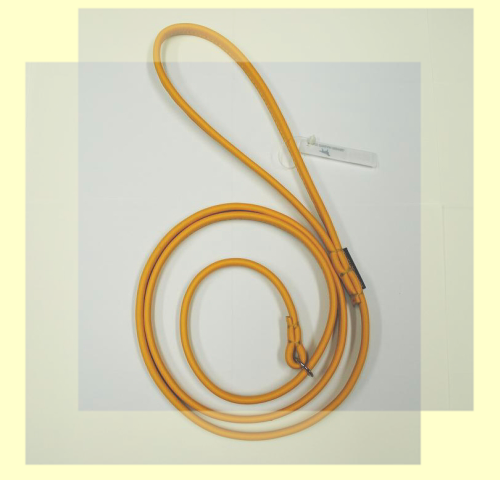 f:id:dogbsk:20210616115111p:plain