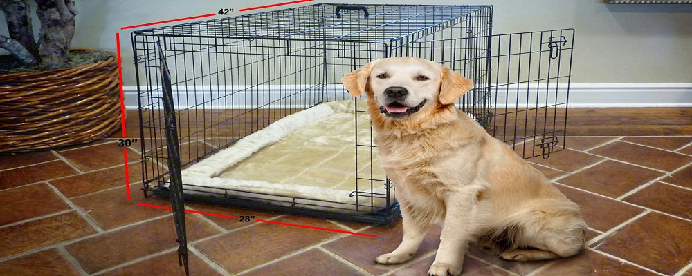 f:id:dogcage:20170707133153j:plain f:id:dogcage:20170707133153j:plain