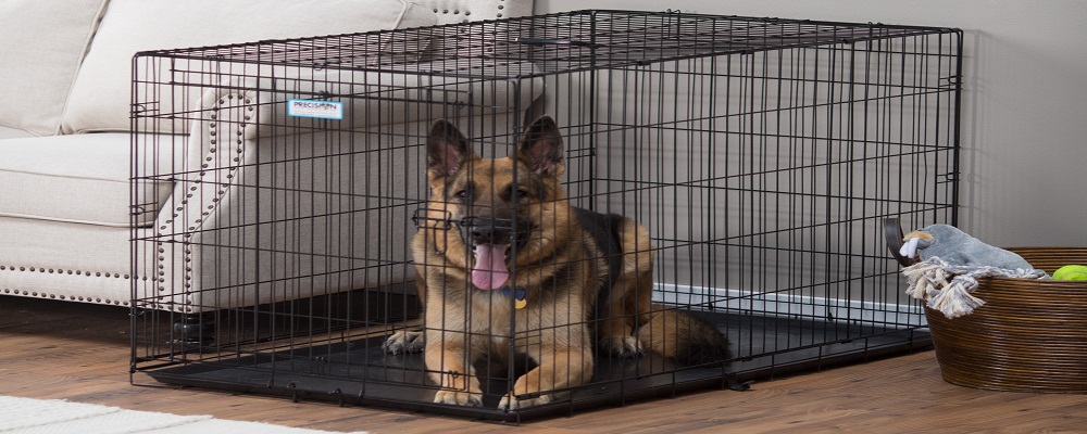 f:id:dogcage:20170707133315j:plain f:id:dogcage:20170707133315j:plain