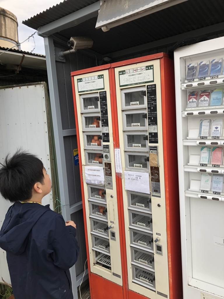 f:id:dogchisaffy:20180415161421j:plain f:id:dogchisaffy:20180415161421j:plain