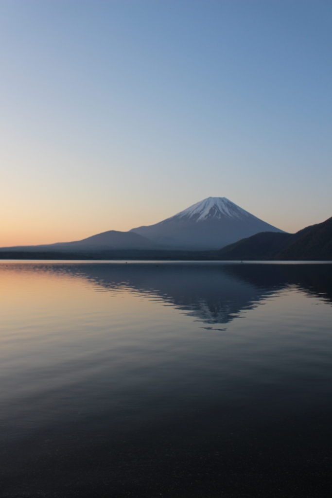 f:id:dogchisaffy:20180502181008j:plain f:id:dogchisaffy:20180502181008j:plain