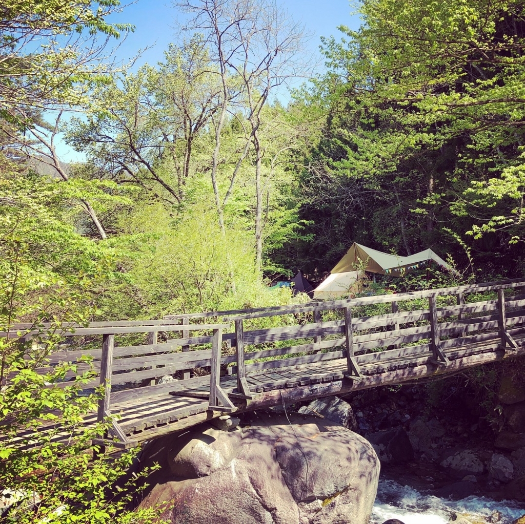 f:id:dogchisaffy:20180503111844j:plain f:id:dogchisaffy:20180503111844j:plain