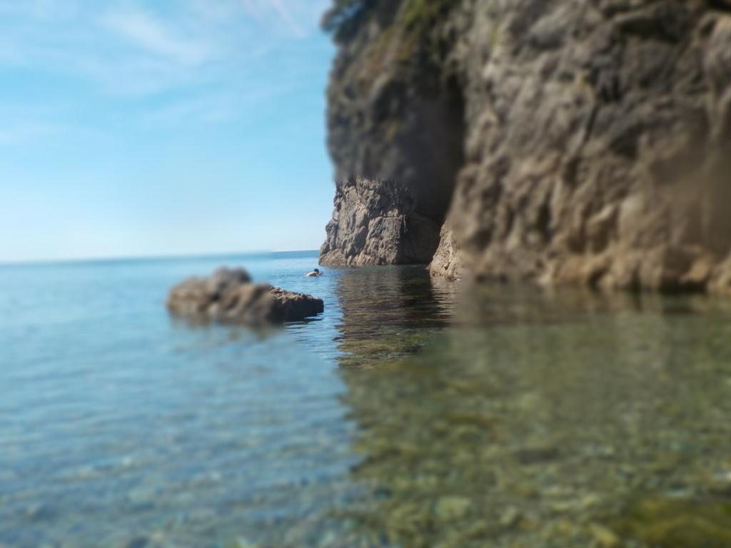 f:id:dogchisaffy:20180826165228j:plain f:id:dogchisaffy:20180826165228j:plain