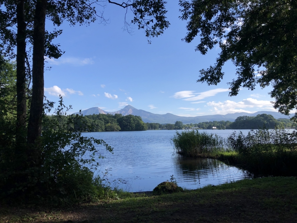 f:id:dogchisaffy:20180826170754j:plain f:id:dogchisaffy:20180826170754j:plain