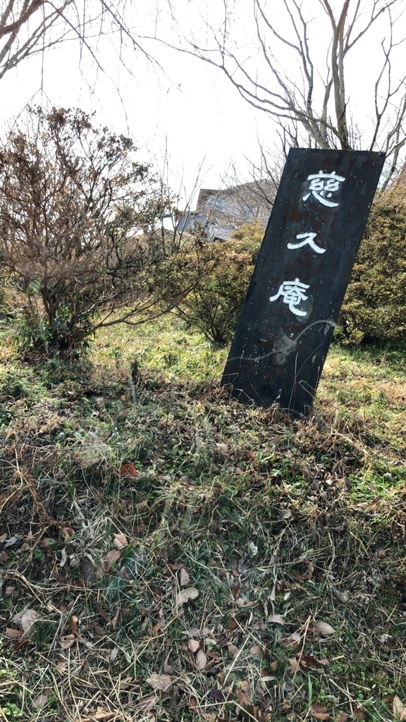 f:id:dogforest:20190209183749j:plain f:id:dogforest:20190209183749j:plain