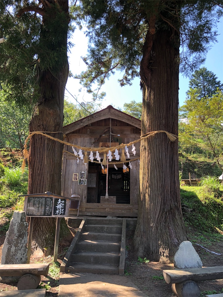 f:id:dogforest:20190928133909j:image