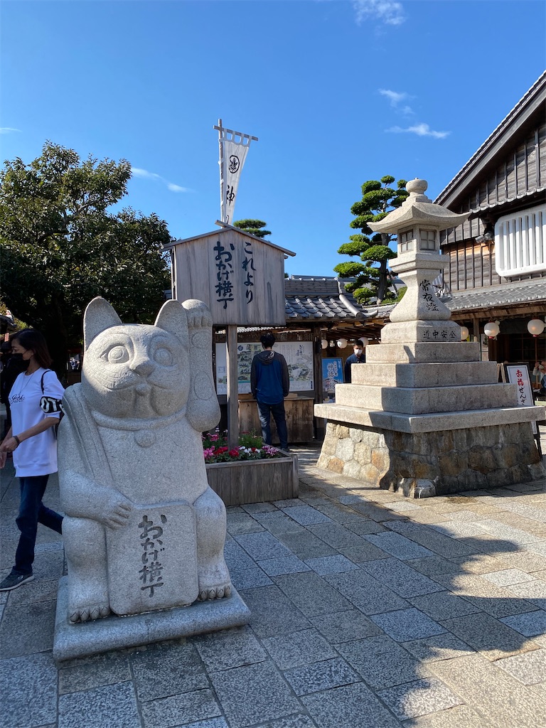 f:id:dogforest:20211105153938j:image