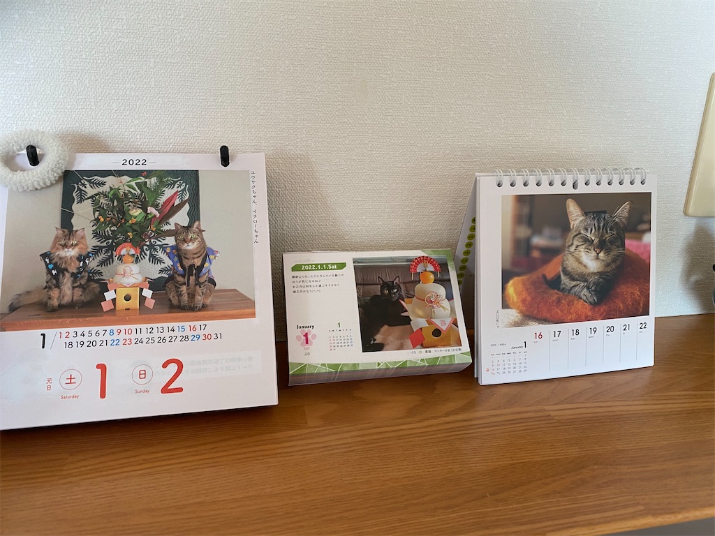 f:id:dogforest:20220101172455j:image
