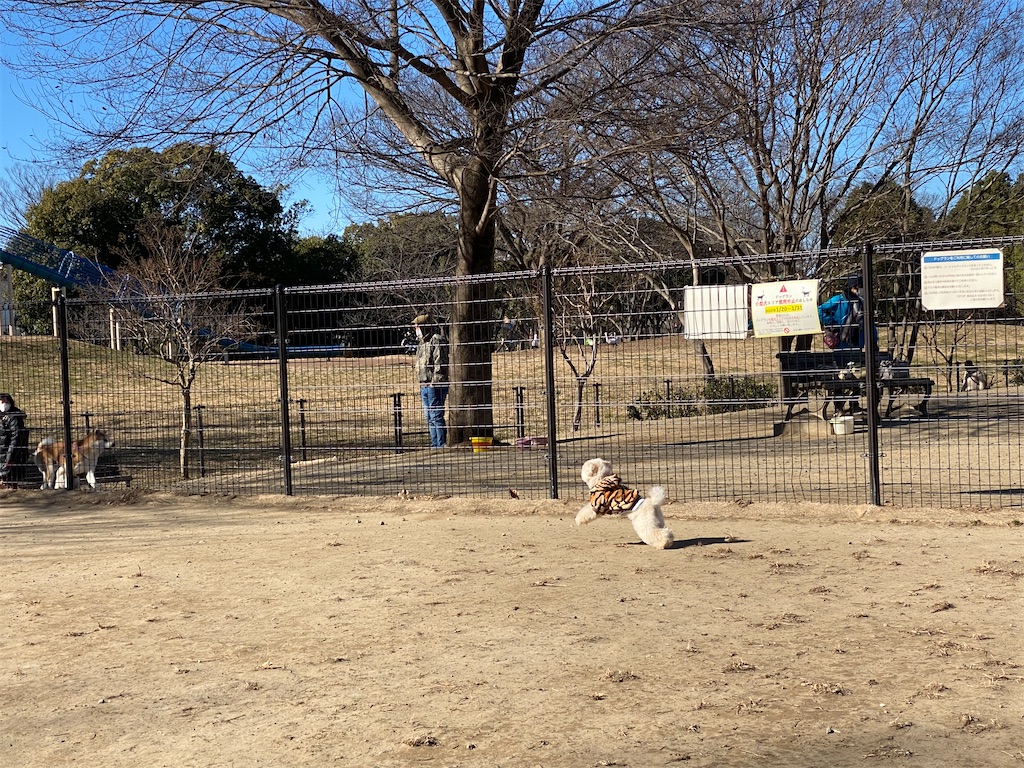 f:id:dogforest:20220101172459j:plain