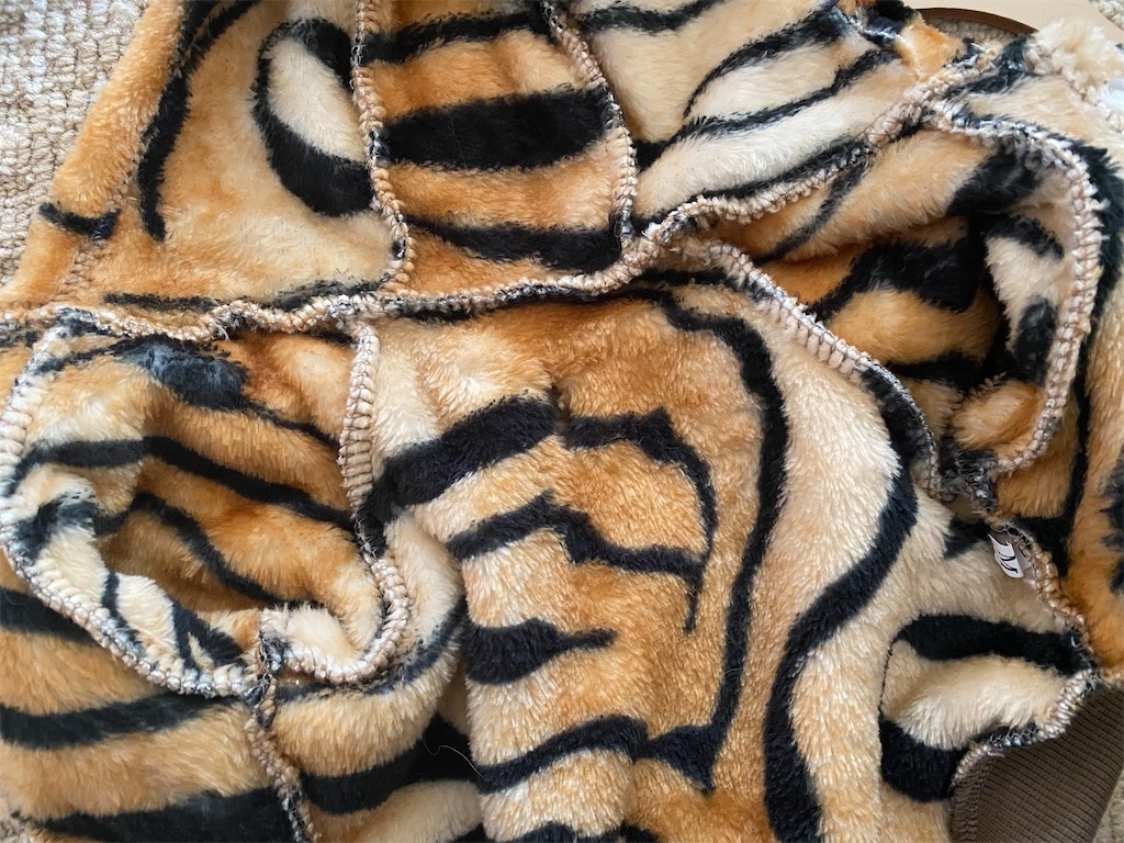 f:id:dogforest:20220109145341j:plain