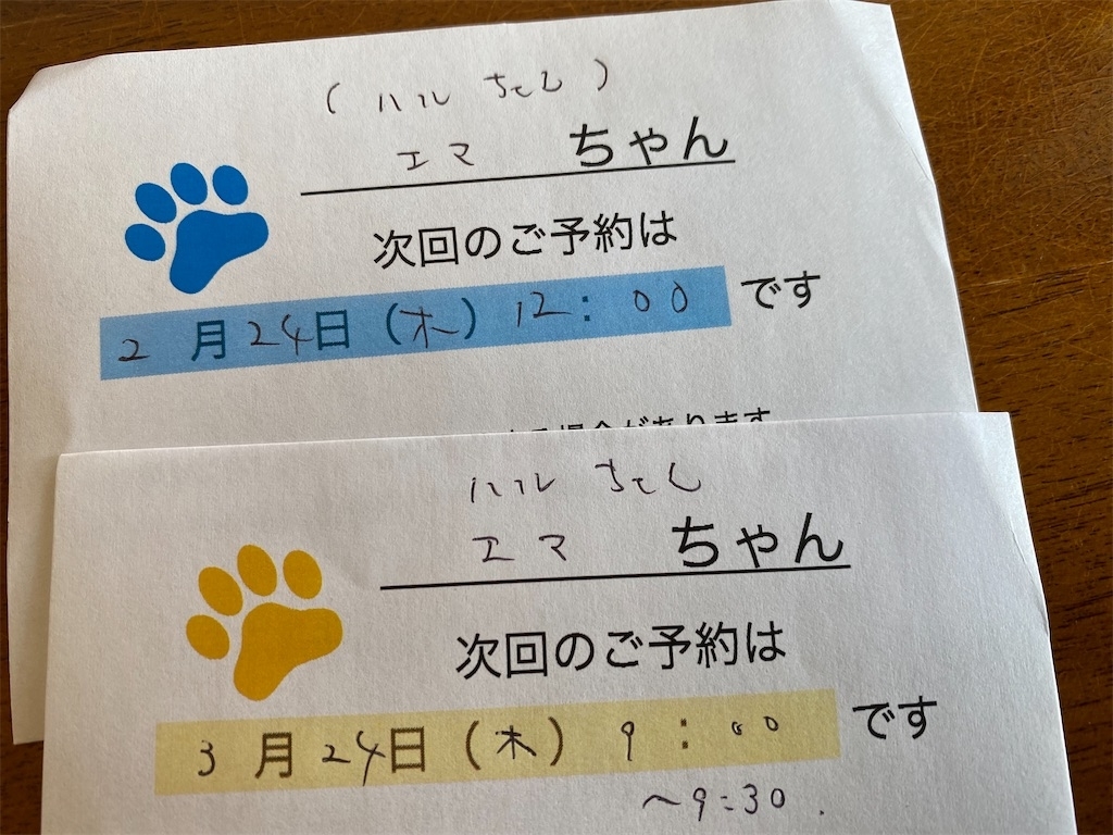 f:id:dogforest:20220202141138j:plain