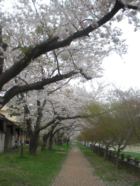 f:id:doglinlin:20120428193749j:image:w360