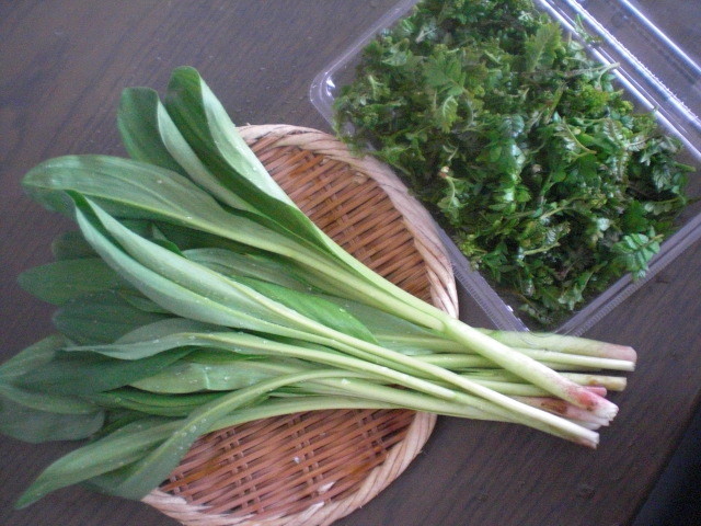 f:id:doglinlin:20120429004317j:image:w360