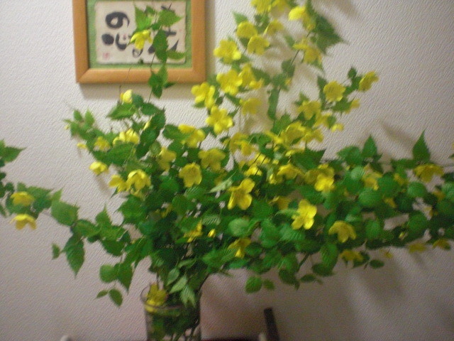 f:id:doglinlin:20120429024448j:image:w360