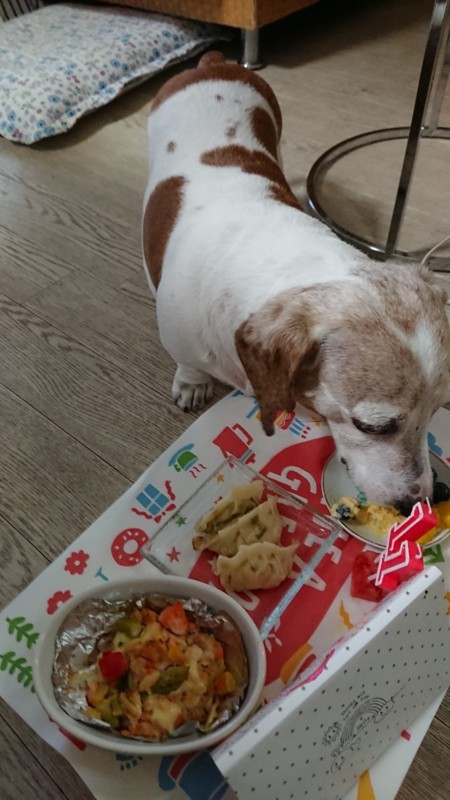 f:id:doglinlin:20180701181657j:image:w360 f:id:doglinlin:20180701181657j:image:w360