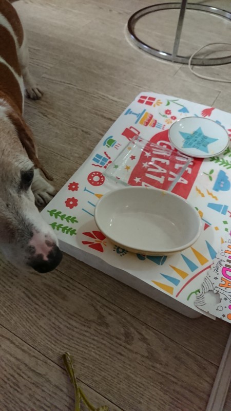 f:id:doglinlin:20180701181900j:image:w360 f:id:doglinlin:20180701181900j:image:w360