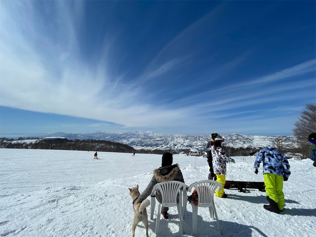 f:id:dogloovee:20220314231037j:image f:id:dogloovee:20220314231037j:image
