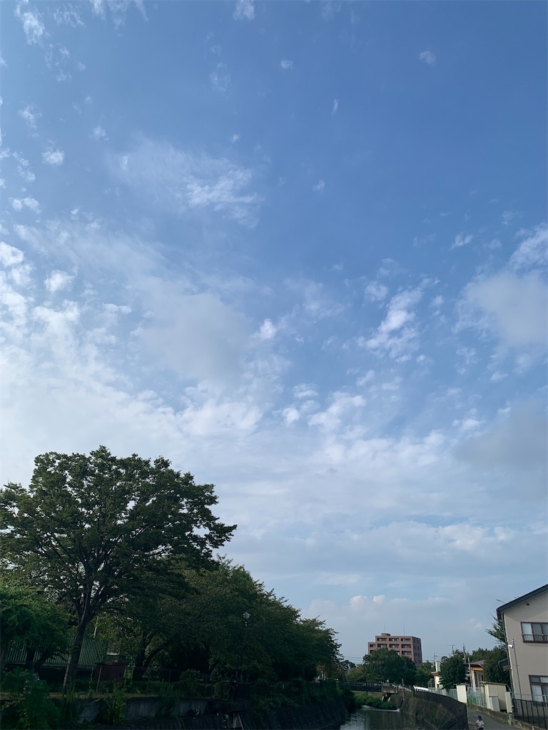 f:id:doglover38:20210912214549j:image