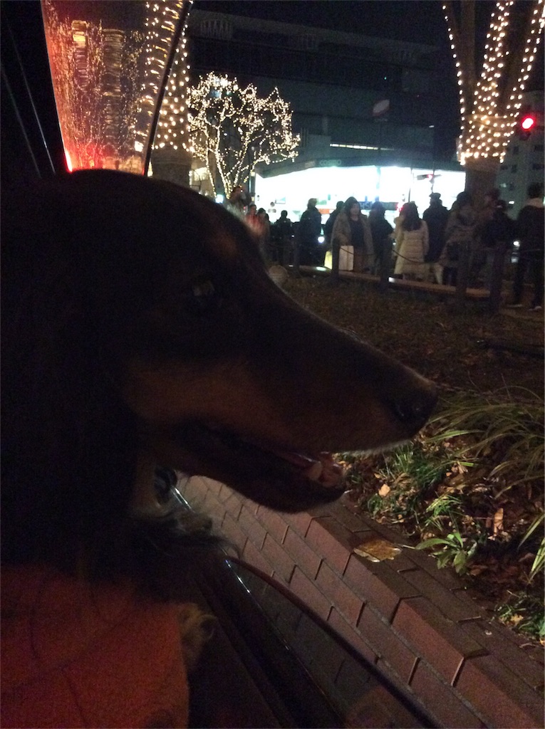 f:id:dogpalette40:20171231234445j:plain f:id:dogpalette40:20171231234445j:plain